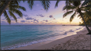 12000+ exclusive wall art in high resolution in high resolution